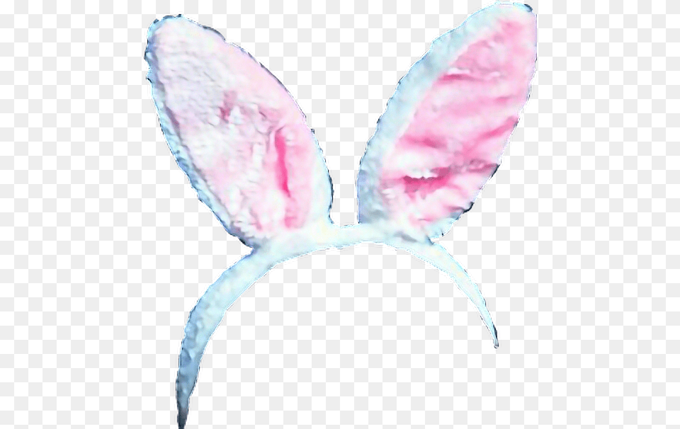 Rabbit Ear Crown Kulak Cute Headband Rabbitears Butterfly, Flower, Plant, Petal, Accessories Png Image