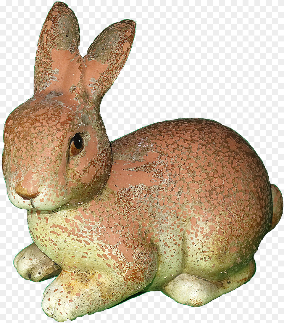 Rabbit Ears, Animal, Mammal, Canine, Dog Free Transparent Png