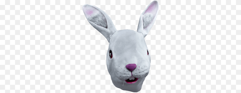 Rabbit Full Mask Rabbit Mask, Animal, Mammal, Fish, Sea Life Png Image