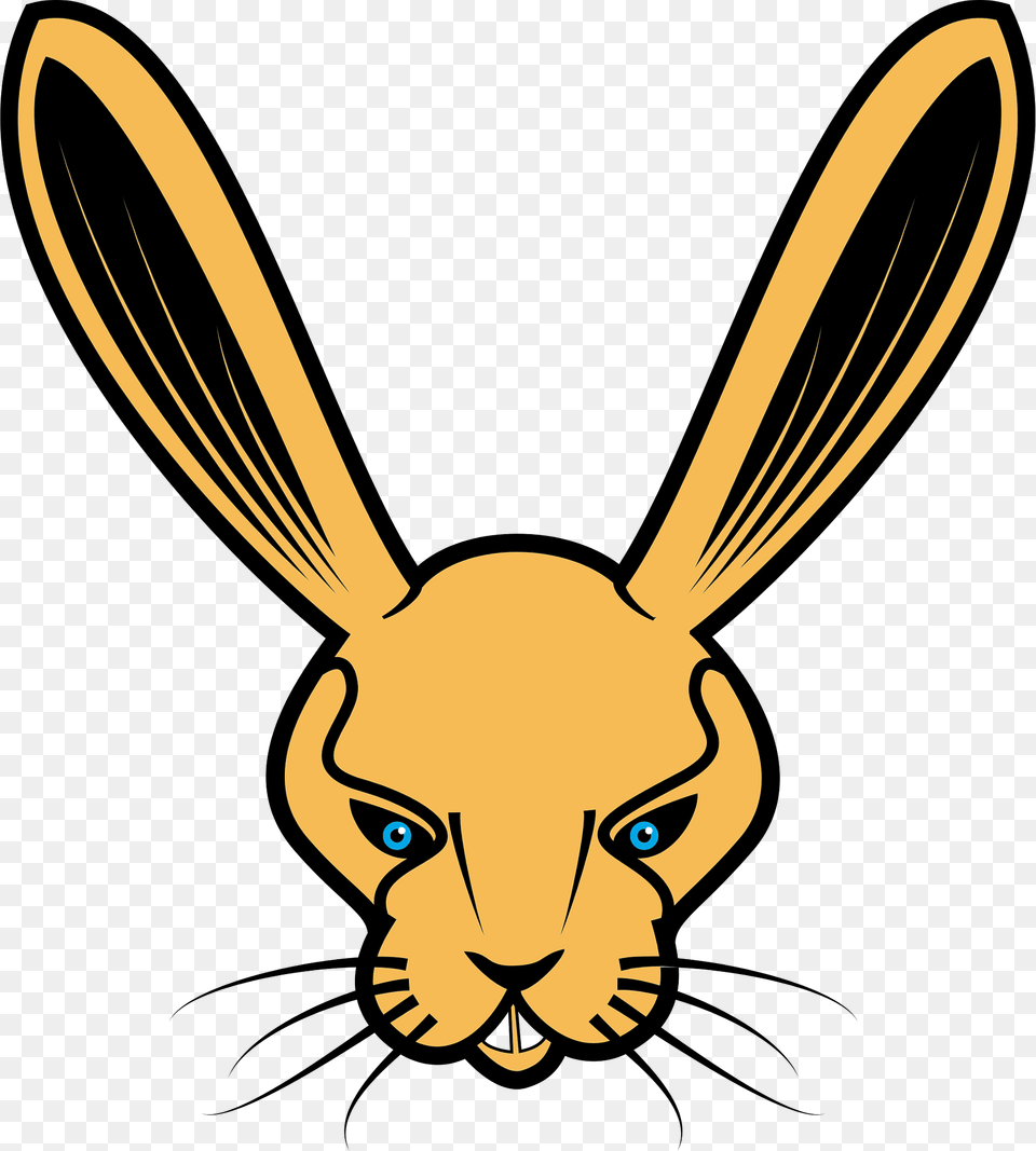 Rabbit Head Clipart, Animal, Face, Mammal, Person Png Image