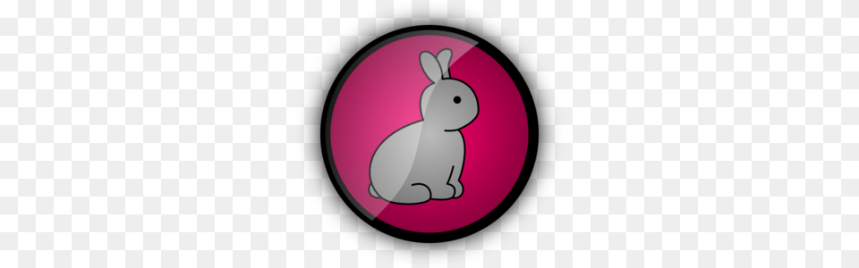 Rabbit Images Icon Cliparts, Animal, Mammal, Astronomy, Moon Png Image