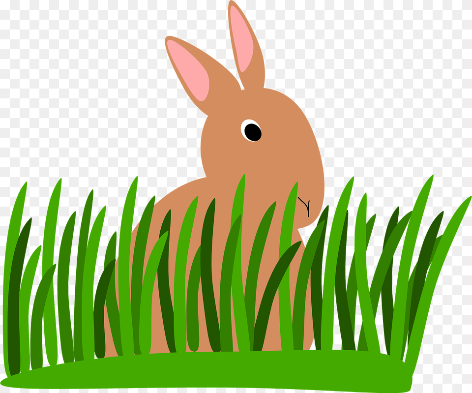 Rabbit In Grass Clipart, Plant, Animal, Mammal, Hare Png Image