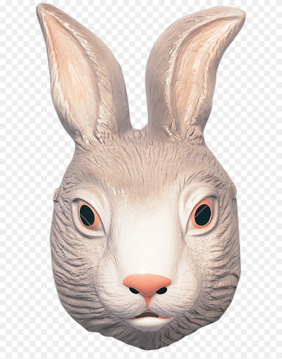 Rabbit Mask, Animal, Mammal, Baby, Person Png Image