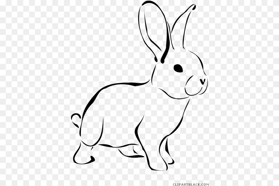 Rabbit Outline Animal Black White Clipart Images Rabbit Images In Clipart, Gray Free Png