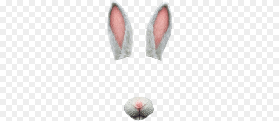 Rabbit Rabbitears Ears Nose Animal Teeth Cute Rabbit Ears Nose, Flower, Petal, Plant, Home Decor Png