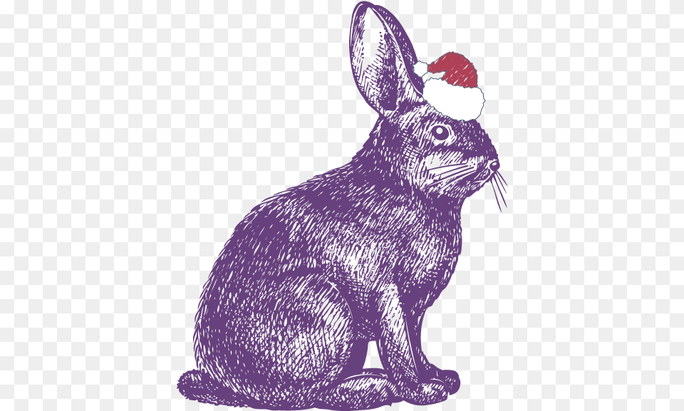 Rabbit Show Jumping Drawing Illustration Rabbit Drawing, Animal, Mammal, Bear, Wildlife Png