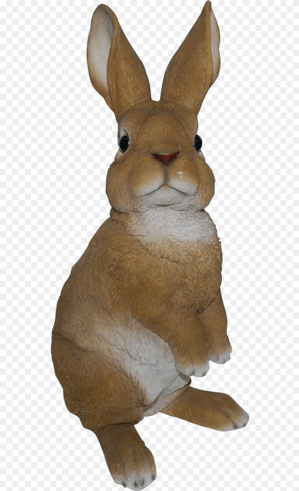 Rabbit Standing, Animal, Mammal, Hare, Rodent Free Png Download