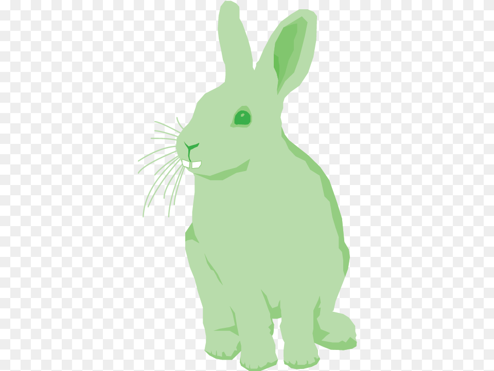 Rabbit Teeth, Baby, Person, Animal, Mammal Free Transparent Png