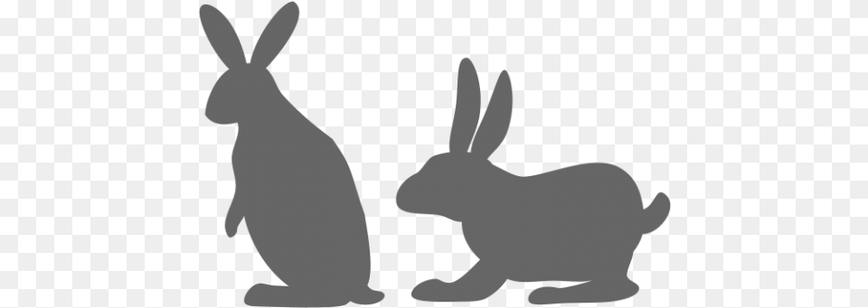 Rabbit Vector Example Hare, Animal, Mammal, Baby, Person Png Image