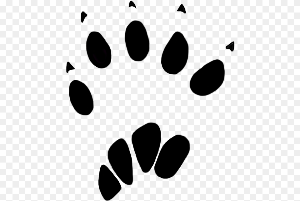 Rabbit Vector Foot Print Pangolin Paw Print, Accessories, Sunglasses, Electronics Free Transparent Png