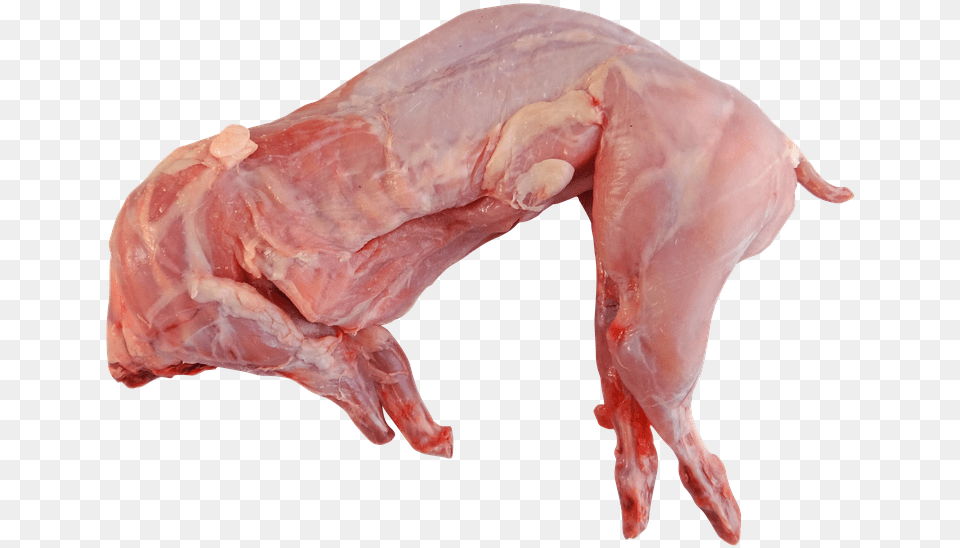 Rabbit Whole Raw Cooking Food Meat Uncooked Rabbit Meat, Mutton, Pork Free Png Download