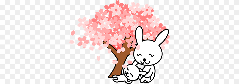 Rabbits Flower, Plant, Cherry Blossom, Baby Png