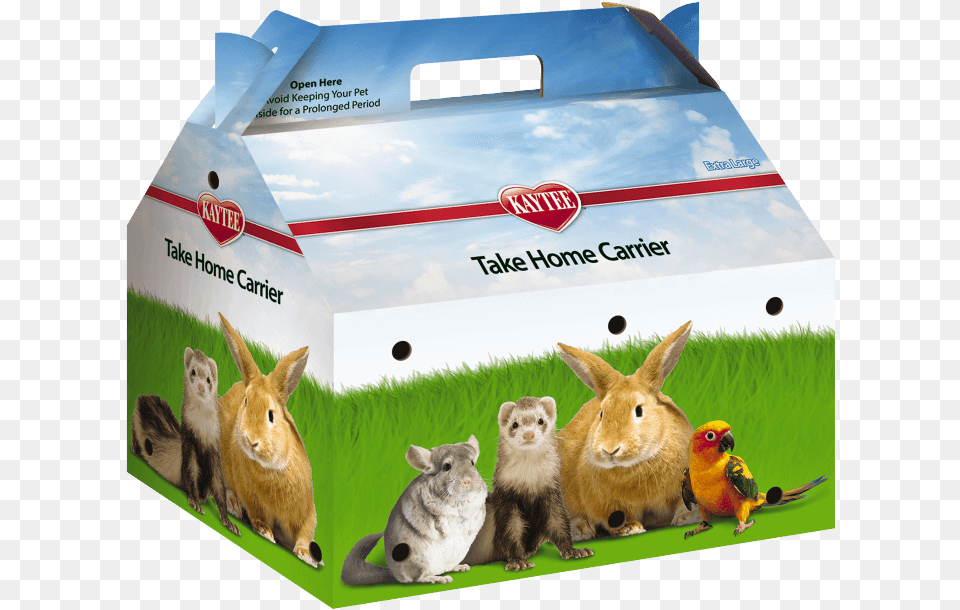 Rabbits And Hares, Animal, Mammal, Rabbit, Box Free Png