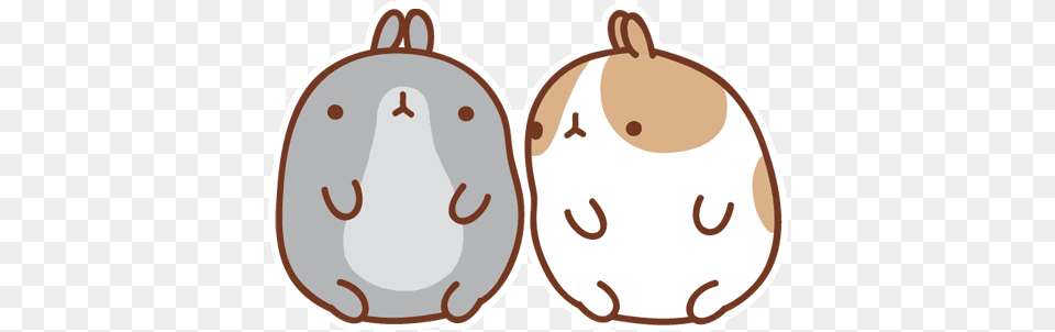 Rabbits Molang Bunny Cute, Bag, Food, Fruit, Plant Free Png Download