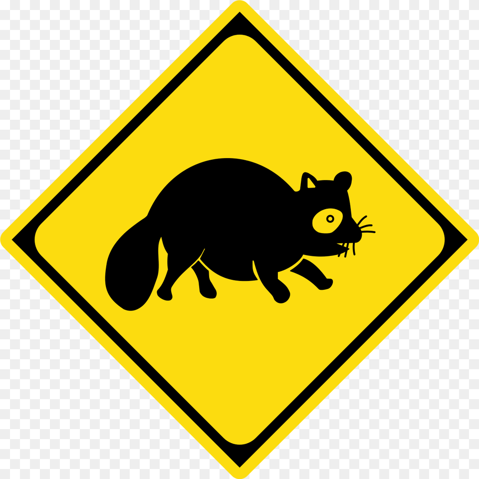 Raccoon, Sign, Symbol, Animal, Mammal Free Png