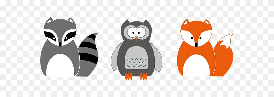 Raccoon Animal, Bird, Penguin Free Transparent Png