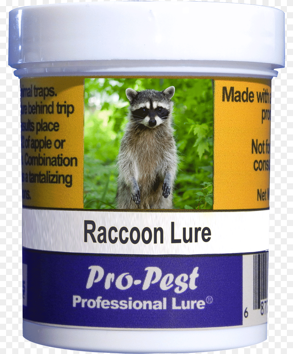 Raccoon, Animal, Mammal, Can, Tin Free Png Download