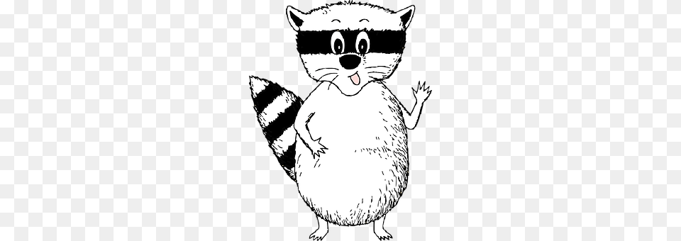 Raccoon Animal, Mammal, Baby, Person Free Transparent Png