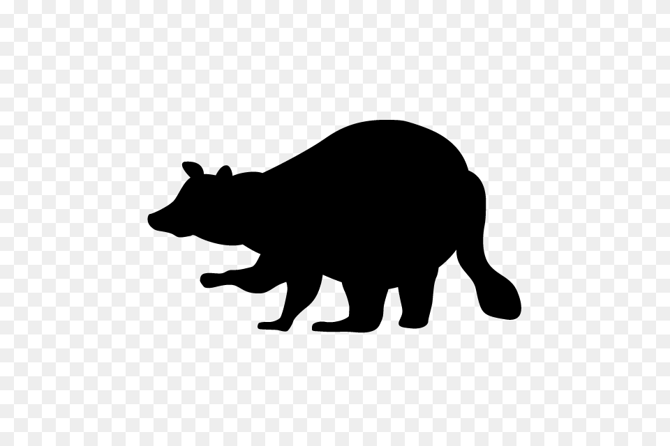 Raccoon Animal Silhouette Free Illustrations, Gray Png Image