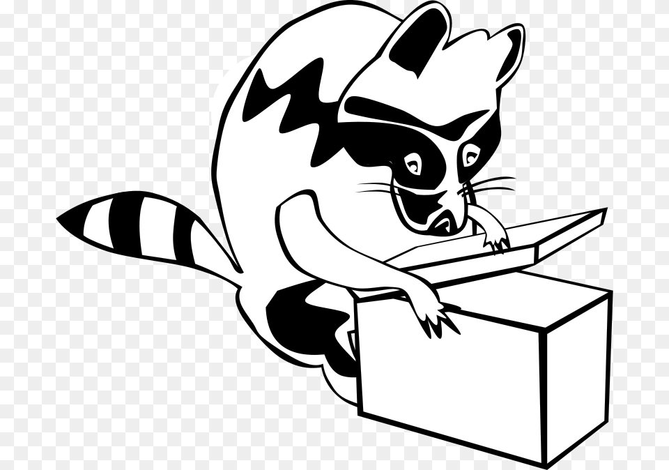 Raccoon Box Animal Mammal Images U2013 Cartoon Raccoon, Stencil, Baby, Person Png