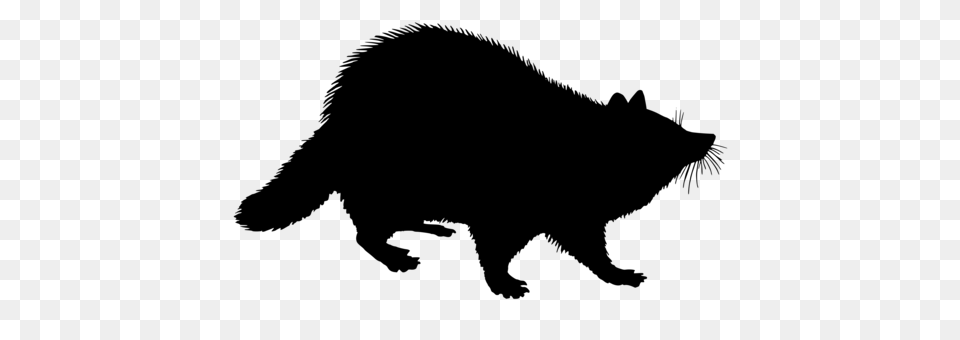 Raccoon Cartoon Funny Animal Character, Gray Png Image