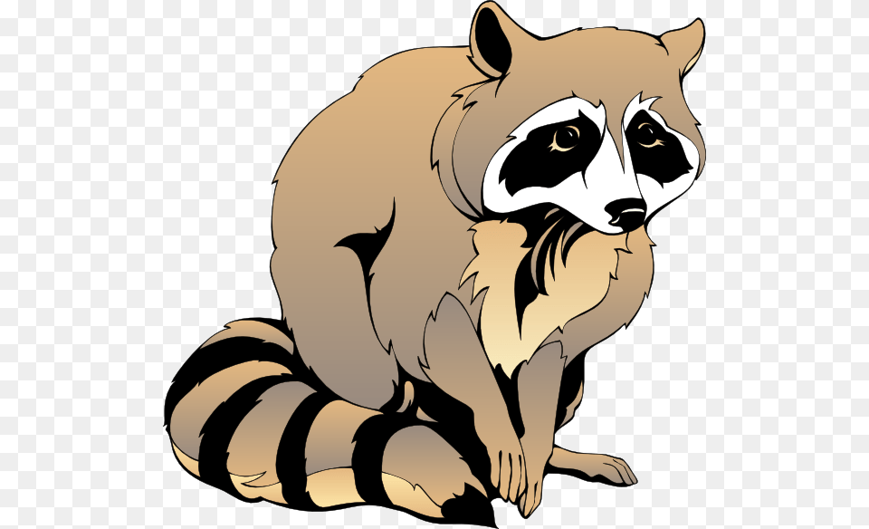 Raccoon Clip Art, Animal, Mammal, Pig Free Png