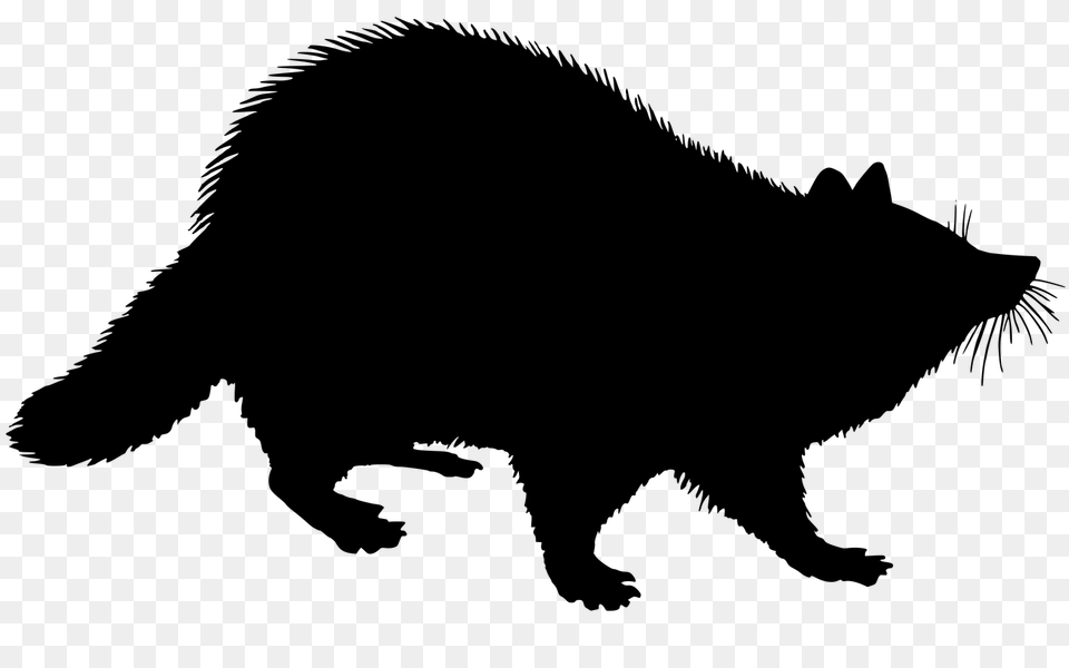 Raccoon Clip Art Hot Trending Now, Silhouette, Animal, Bear, Mammal Free Transparent Png