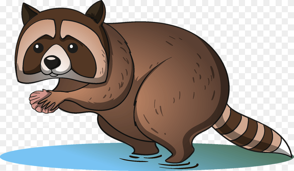 Raccoon Clipart, Animal, Mammal, Wildlife, Beaver Png