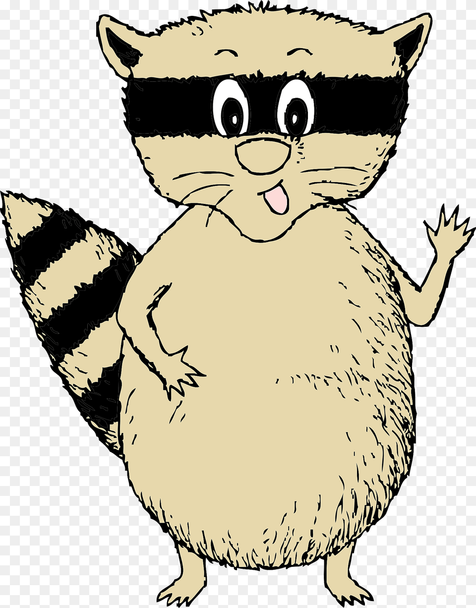 Raccoon Clipart, Baby, Person, Animal, Mammal Free Png