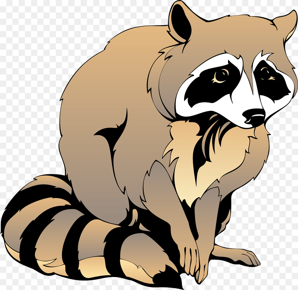 Raccoon Clipart, Animal, Mammal, Kangaroo Free Png