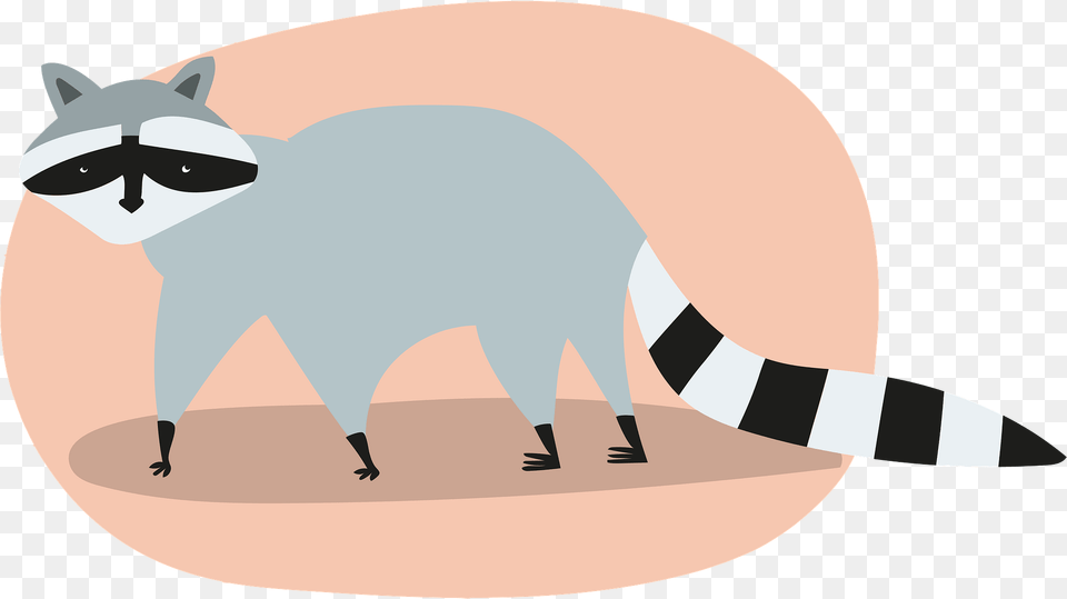 Raccoon Clipart, Animal, Mammal, Fish, Sea Life Png Image