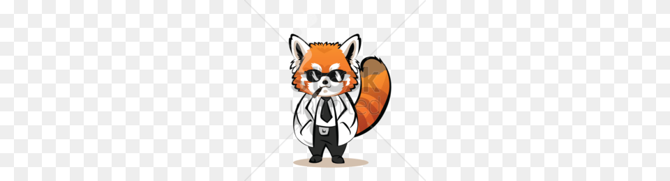 Raccoon Clipart, Animal, Mammal, Lesser Panda, Wildlife Png