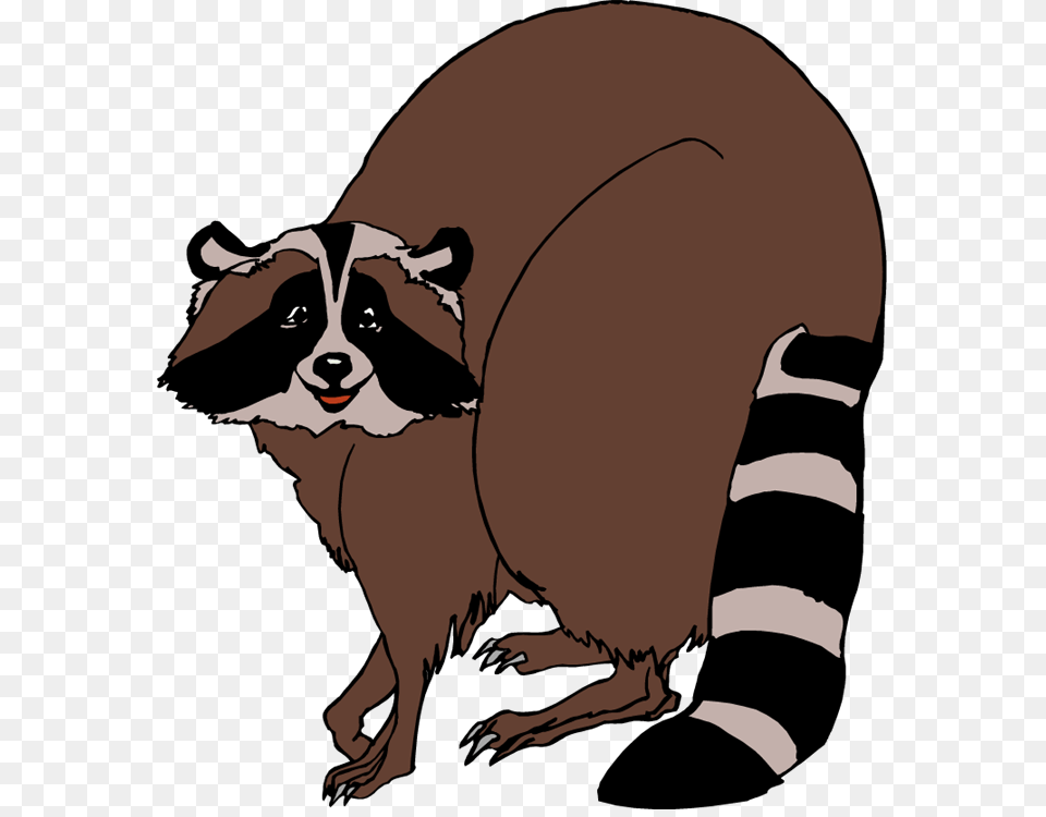 Raccoon Cliparts, Animal, Mammal, Baby, Person Png Image