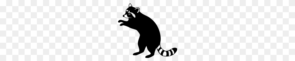 Raccoon Icons Noun Project, Gray Free Transparent Png