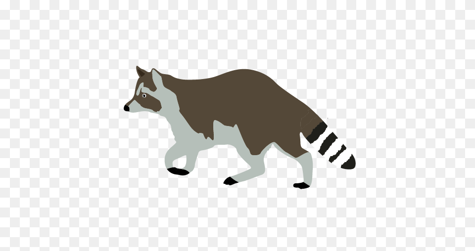Raccoon Playing Cliparts, Stencil, Animal, Kangaroo, Mammal Free Transparent Png
