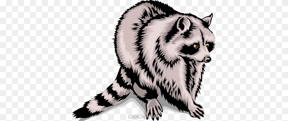 Raccoon Royalty Vector Clip Art Illustration, Animal, Mammal, Dinosaur, Reptile Free Png Download