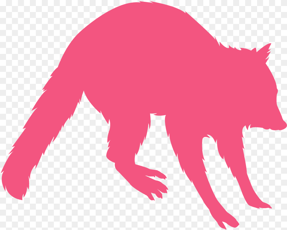 Raccoon Silhouette, Animal, Mammal, Baby, Person Free Png Download