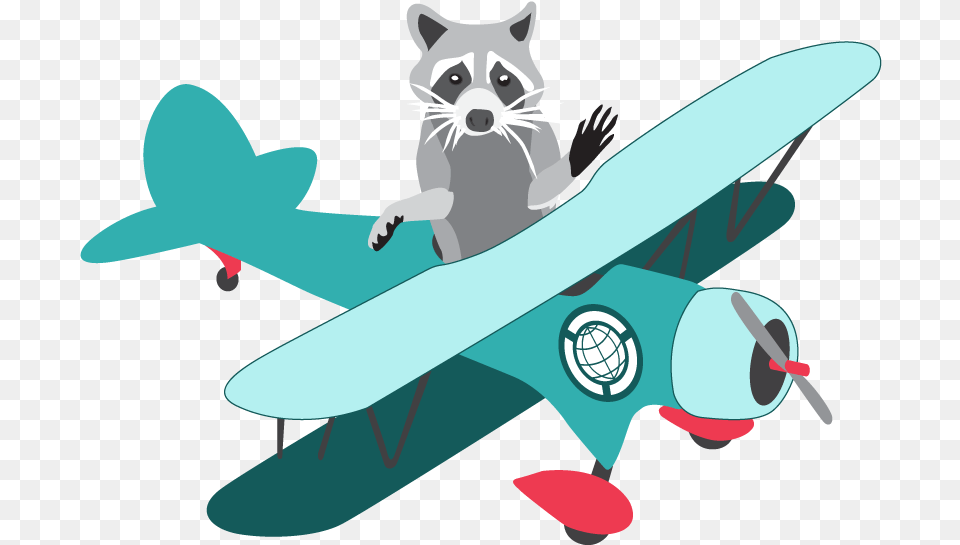 Raccoon Tps Biplane, Animal, Canine, Dog, Mammal Free Png