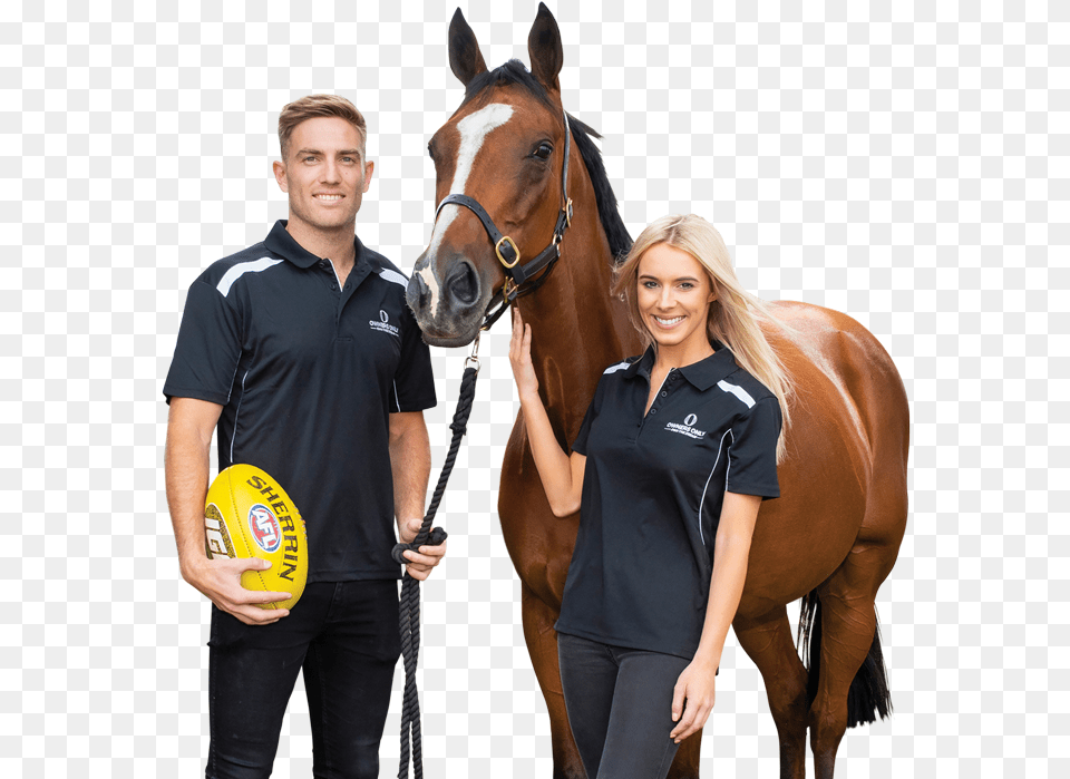 Race Horse, Adult, Sport, Rugby Ball, Rugby Png Image