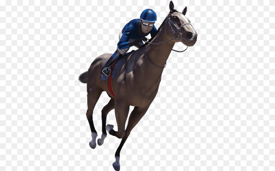 Race Horse, Animal, Equestrian, Person, People Free Transparent Png