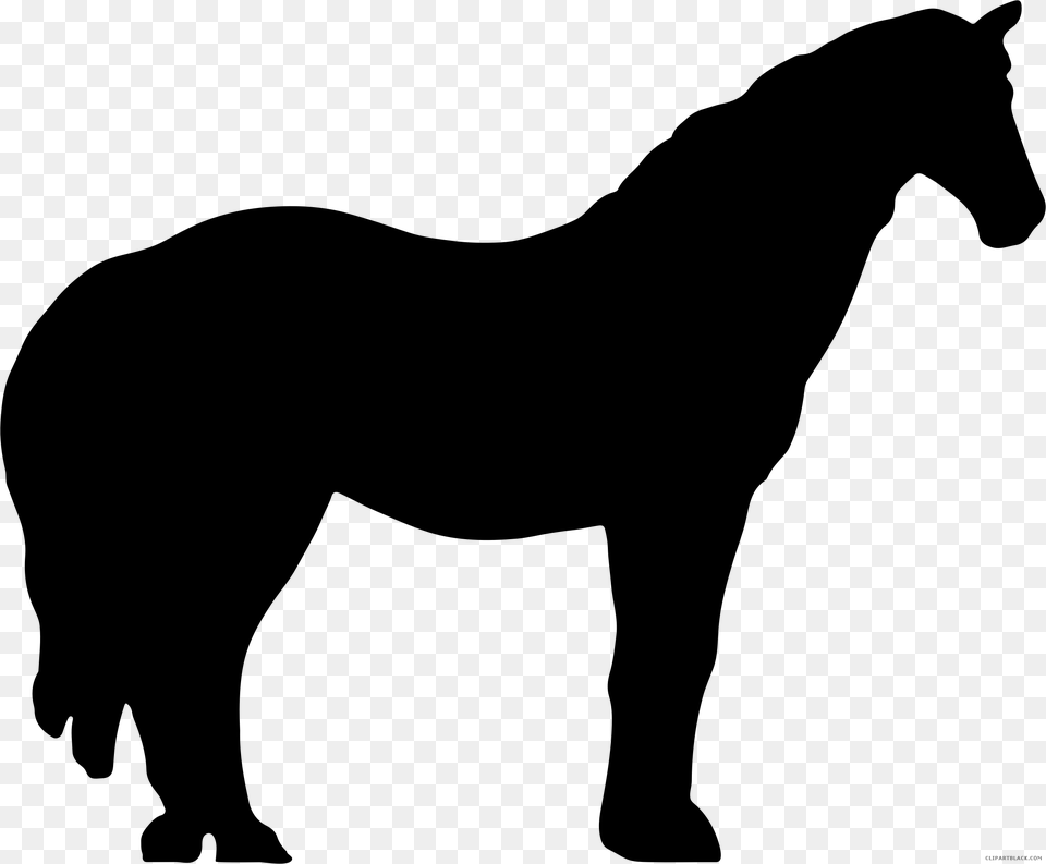Race Horse, Gray Png Image