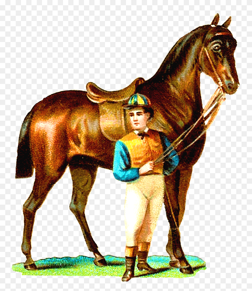 Race Horse And Jockey Vintage Clipart, Adult, Person, Woman, Female Free Png