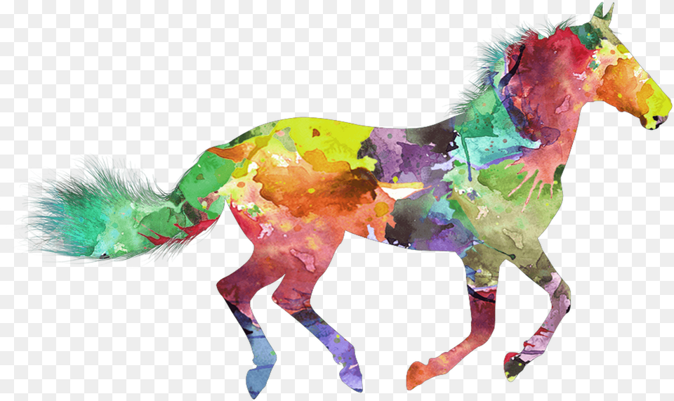 Race Horse Water Color, Animal, Mammal, Person Free Transparent Png