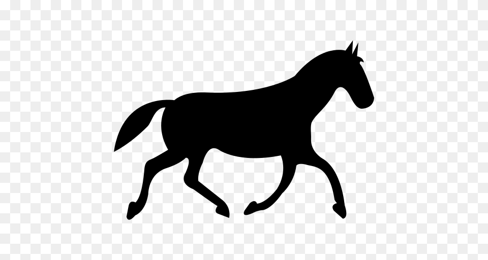 Race Icon, Gray Free Transparent Png