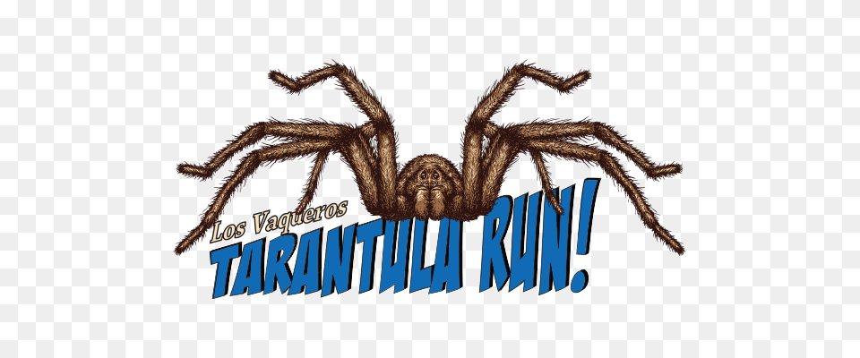 Race Info Tarantula Run Brazen Racing, Animal, Invertebrate, Spider, Bird Free Png Download