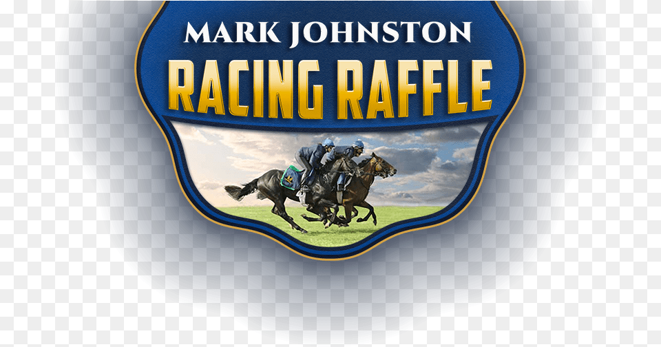 Racehorse Lotto Mark Johnston Racing Raffle Make A Wish Star, Person, Animal, Horse, Mammal Png