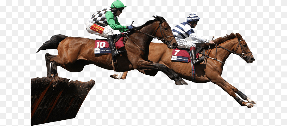 Racehorses Jumping Transparent Race Horse Transparent Background, Adult, Person, Man, Male Png Image