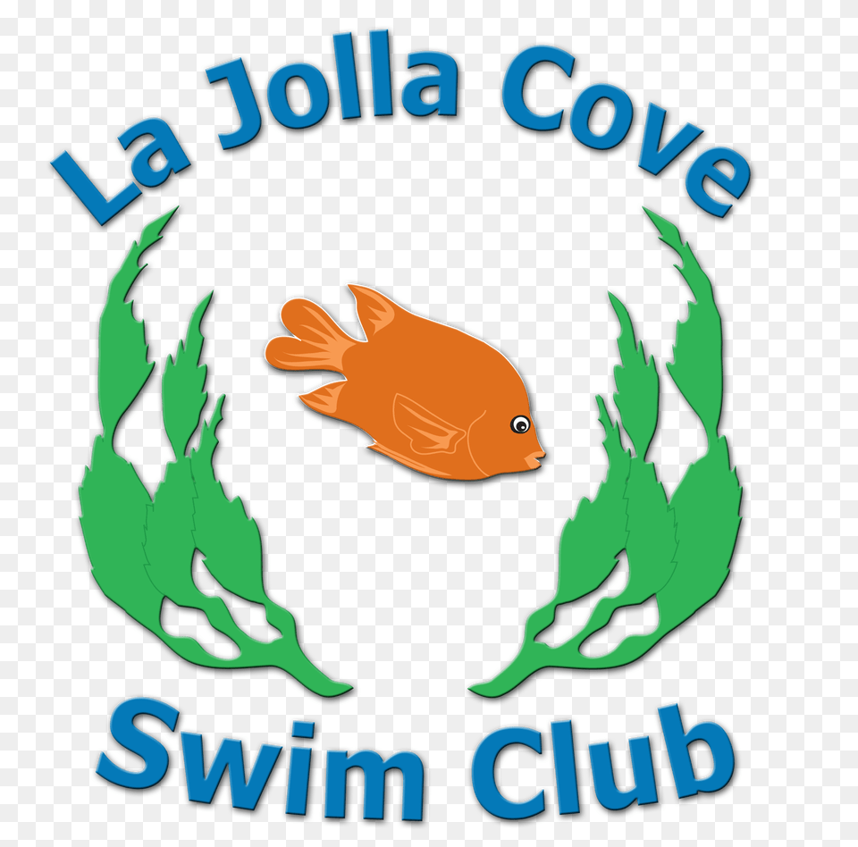 Racewire La Jolla Cove Swim Club Pier To Cove Swim, Animal, Fish, Sea Life, Person Free Png