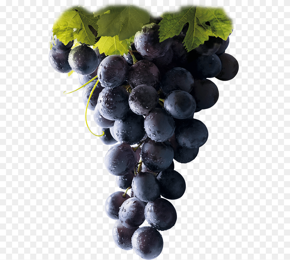 Racimo Uva Vino Tinto Red Grapes, Food, Fruit, Plant, Produce Free Png
