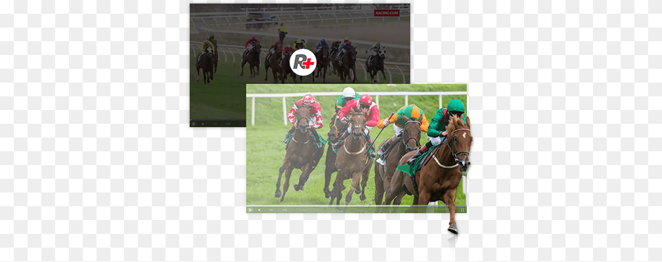 Racing Fans Can Also Watch On Demand Race Replays For Horse Racing Shutterstock, Animal, Equestrian, Mammal, Person Free Png